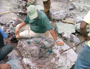 NECC Gets Rs 356 Cr New Order from Tata Steels